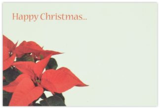 Happy Christmas (Poinsettia) - 60mm x 90mm Florist Cards