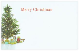 Merry Christmas (Tree & Presents) - 60mm x 90mm Florist Cards