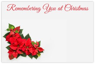 Remembering You Christmas (Poinsettia) - 60mm x 90mm Florist Cards