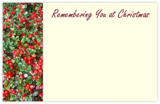 Remembering You Christmas (Red Berries) - 60mm x 90mm Florist Cards