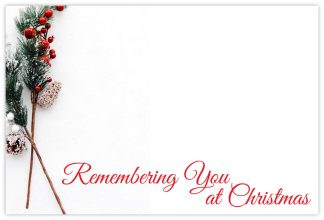 Remembering You Christmas (Snow Berries) - 60mm x 90mm Florist Cards