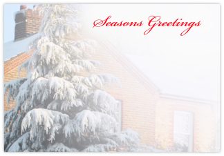 Seasons Greetings (Snowy Tree) - 60mm x 90mm Florist Cards