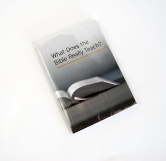 Book Size - Bible Studies