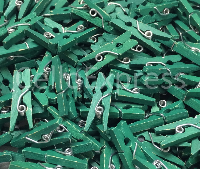 35mm Bottle Green - Mini Wooden Craft Pegs