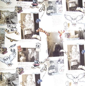1/2m - 50cm x 140cm - Harry Potter - Official Fabric - Various Designs