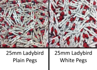 Mini Wooden Ladybird Pegs