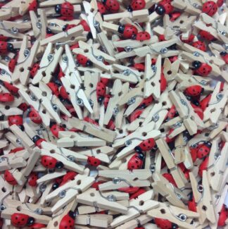 25mm Ladybird Natural Pegs