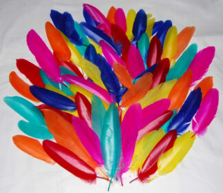 Feathers