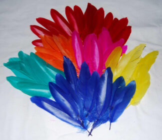 Quill Feathers