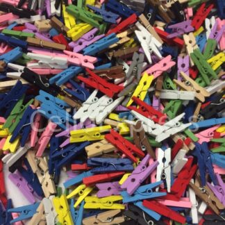 25mm Mixed Mini Wooden Pegs