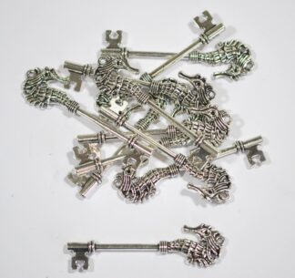Silver Seahorse Keys