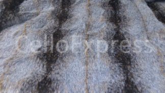 brown striped wolf fur celloexpress