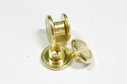 4mm Gold Chicago Screws