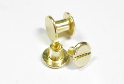 6mm Gold Chicago Screws