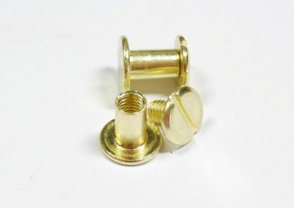 8mm Gold Chicago Screws