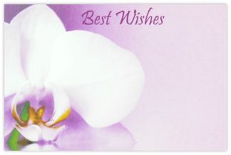 Best Wishes (Purple Lily) - 60mm x 90mm Florist Cards