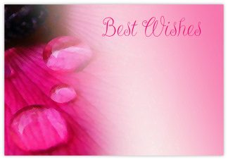 Best Wishes (Waterdrops) - 60mm x 90mm Florist Cards