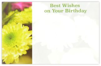 Best Wishes on Your Birthday (China Aster) - 60mm x 90mm Florist Cards