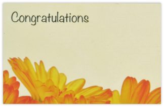 Congratulations (Orange Daisies) - 60mm x 90mm Florist Cards
