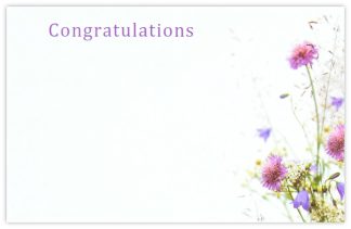 Congratulations (Scabious) - 60mm x 90mm Florist Cards