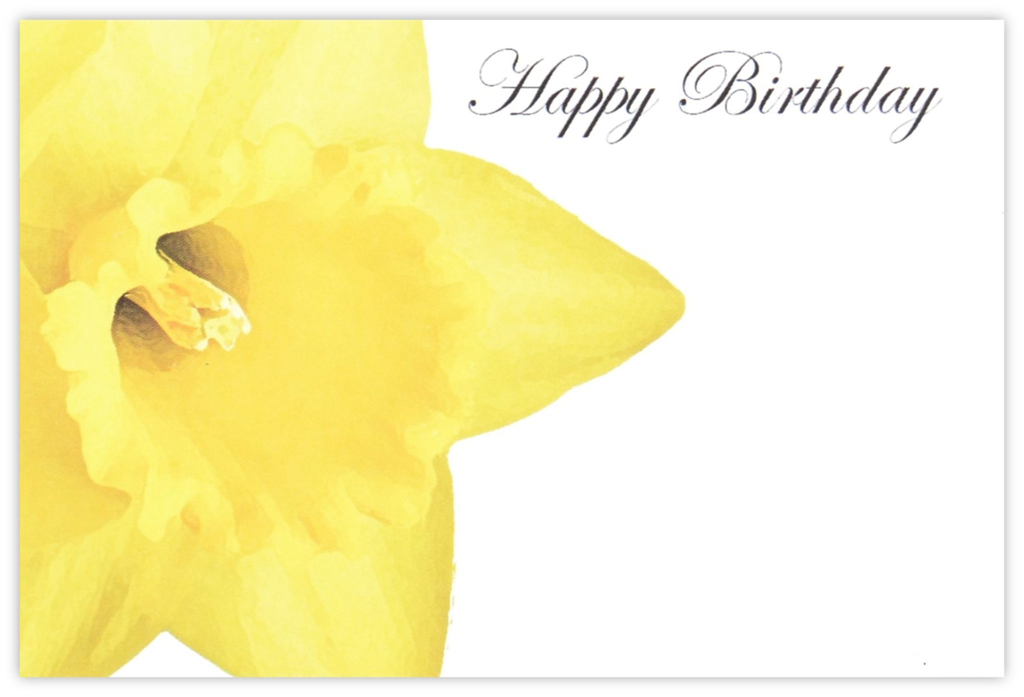 Happy Birthday (Daffodil) - 60mm x 90mm Florist Cards - CelloExpress