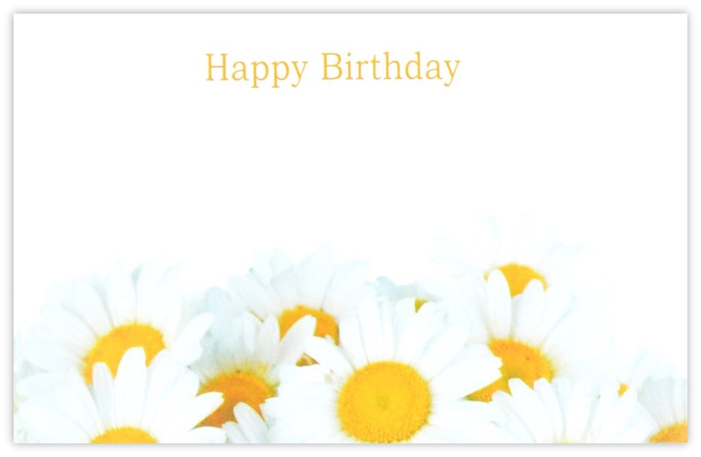 Happy Birthday (Daisies) 60mm x 90mm Florist Cards CelloExpress