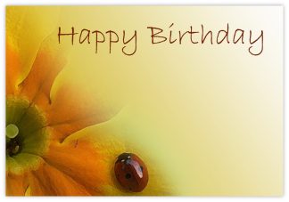 Happy Birthday (Flower & Ladybird) - 60mm x 90mm Florist Cards