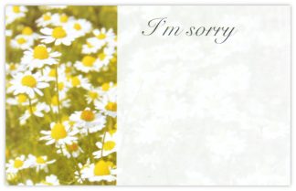 I'm Sorry (Daisies) - 60mm x 90mm Florist Cards