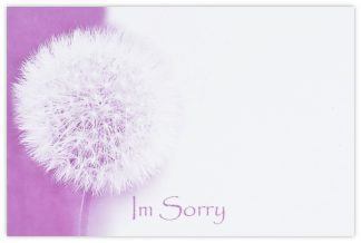 I'm Sorry (Dandelion) - 60mm x 90mm Florist Cards