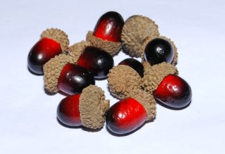 Artificial Acorns (Red & Brown) - Florist Accessories