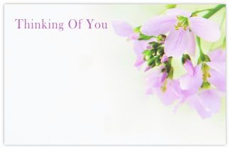 Thinking of You (Pink Flowers) - 60mm x 90mm Florist Cards