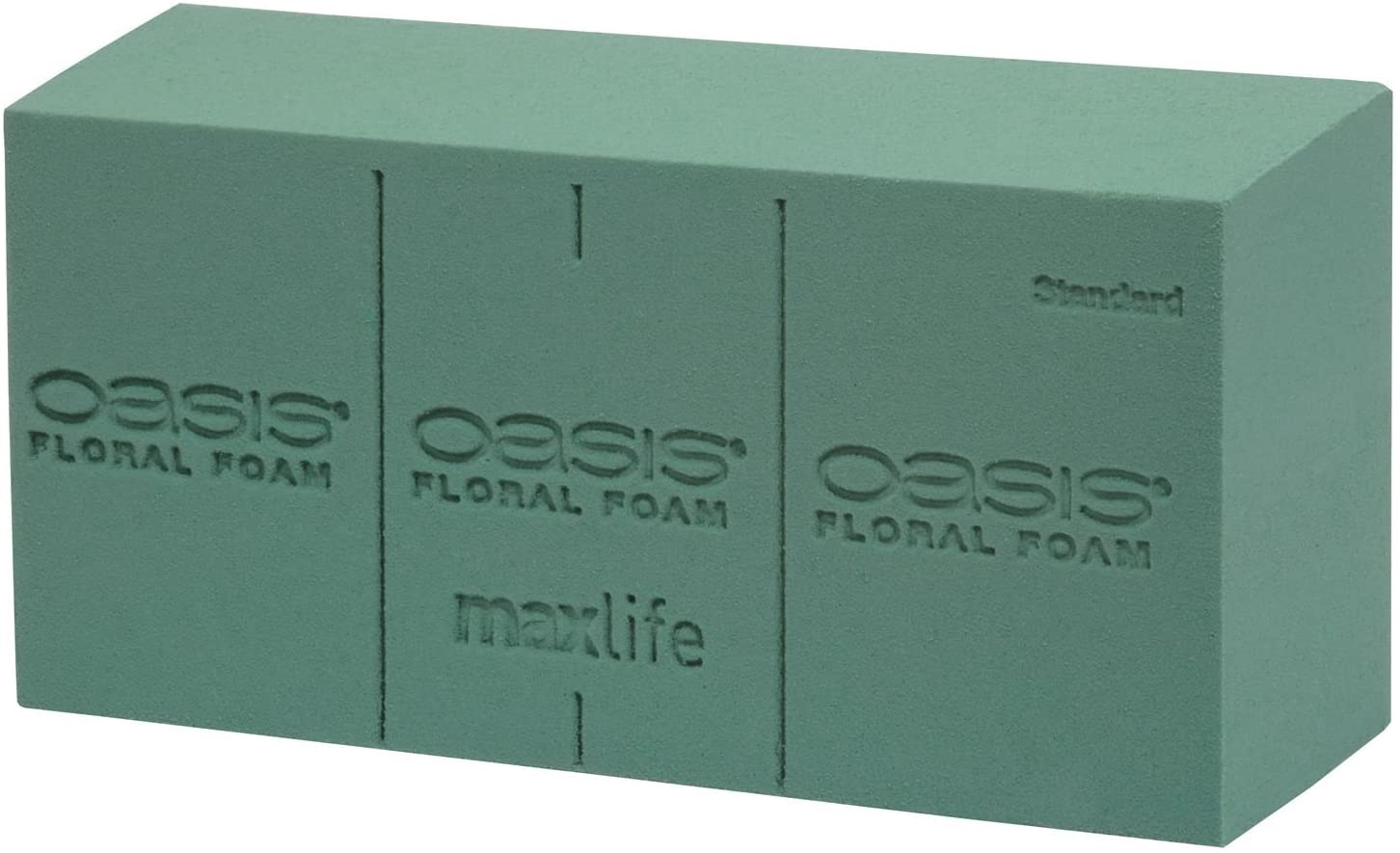 Ideal Maxlife Foam Block OASIS® Floral Foam CelloExpress