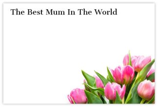 Best Mum in the World (Pink Tulips) - 60mm x 90mm Florist Cards