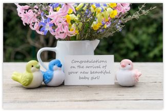 Congratulations Girl (Flowers & Ducks) - 55mm x 85mm Florist Cards