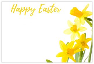 Happy Easter (Daffodils) - 60mm x 90mm Florist Cards