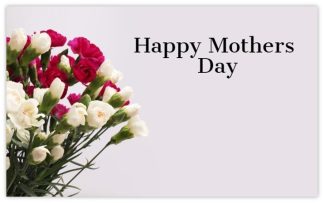 Happy Mother's Day (Carnations) - 55mm x 85mm Florist Cards
