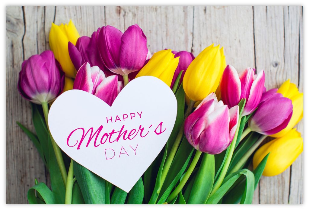 Happy Mother's Day (Tulips) 55mm x 85mm Florist Cards CelloExpress