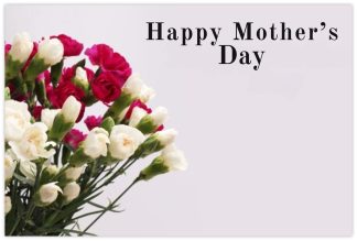 Happy Mother's Day (Carnations) - 60mm x 90mm Florist Cards
