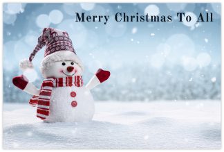 Merry Christmas to All (Snowman) - 55mm x 85mm Florist Cards
