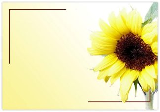 Blank (Sunflower) - 90mm x 125mm Florist Cards