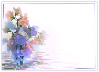 Blank (Sweet Pea) - 90mm x 125mm Florist Cards