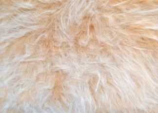 Camel Frost Long Pile Faux Fur - High Quality Fake Fur
