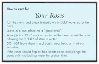 Care for your Roses - 60mm x 90mm Florist Cards