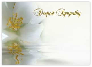 Deepest Sympathy (Mock Orange) - 90mm x 125mm Florist Cards