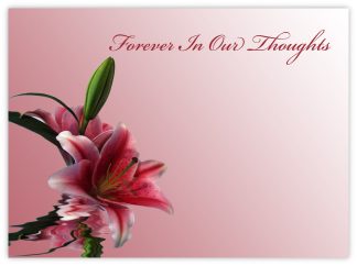 Forever in Our Thoughts (Pink Lilies) - 90mm x 125mm Florist Cards