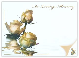In Loving Memory (3 Peach Roses) - 90mm x 125mm Florist Cards