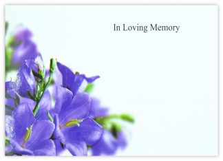 In Loving Memory (Bellflowers) - 90mm x 125mm Florist Cards
