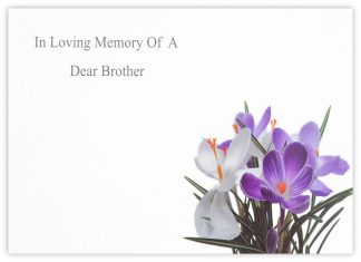 In Loving Memory Brother (Dutch Crocus) - 90mm x 125mm Florist Cards