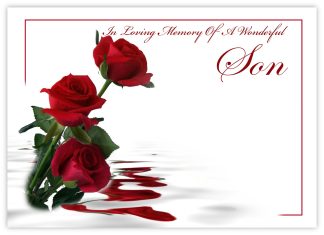 In Loving Memory Son (3 Red Roses) - 90mm x 125mm Florist Cards