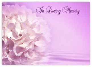 In Loving Memory (Star Magnolia) - 90mm x 125mm Florist Cards